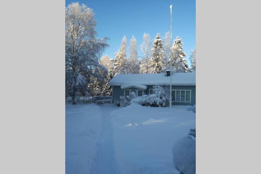 One-Bedroom House,1053241045:JPEG