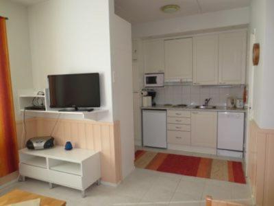 One-Bedroom Apartment Sauna,1259649892:JPEG