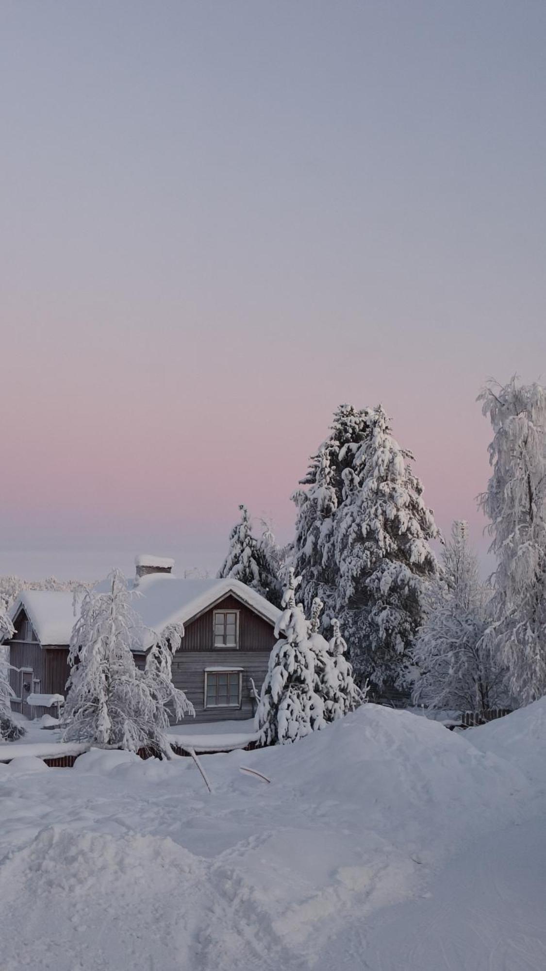 Family Room with Garden View,1756450380:JPEG