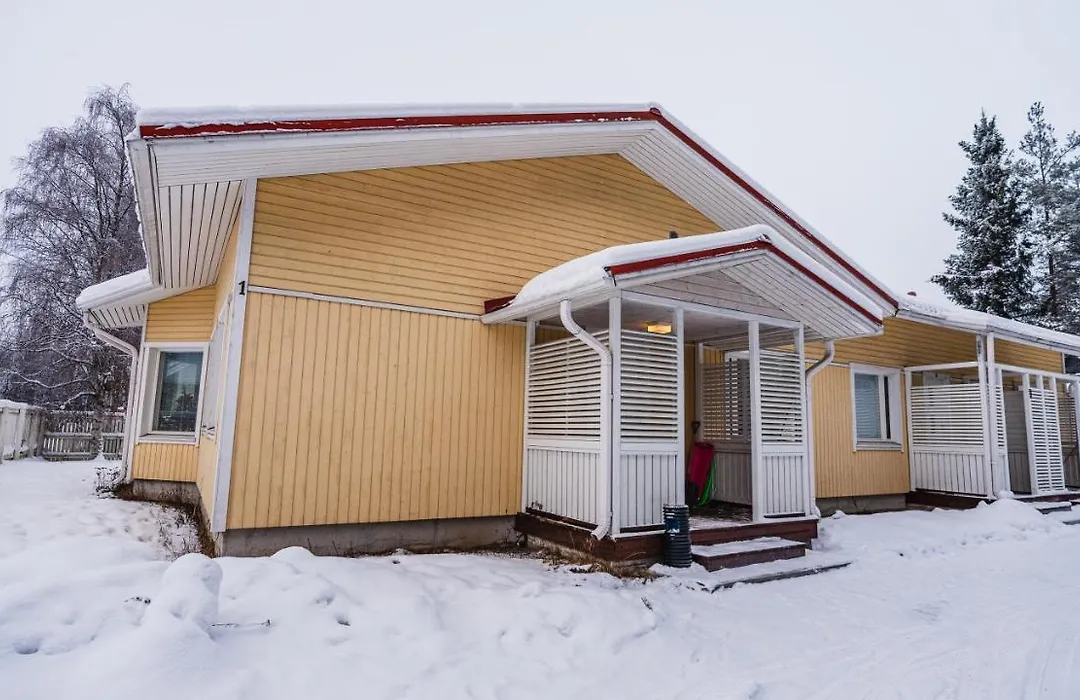 Koivut-1