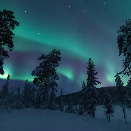 Arctic Skylight Lodge-2