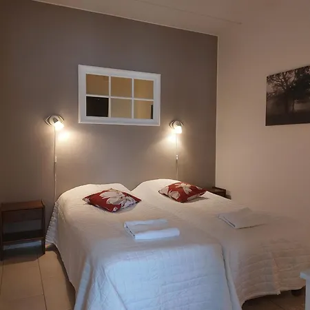 Aparthotel LeviStar-3