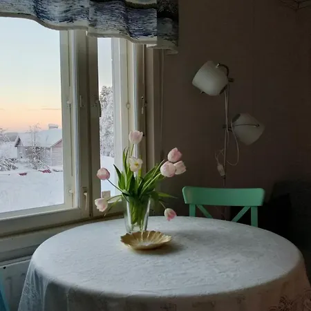 Guesthouse Golden Goose-3
