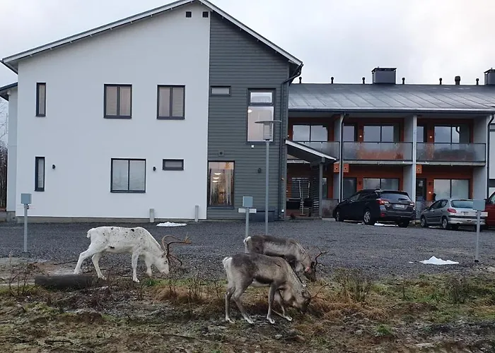 Hotel Lost In Yllaes Äkäslompolo