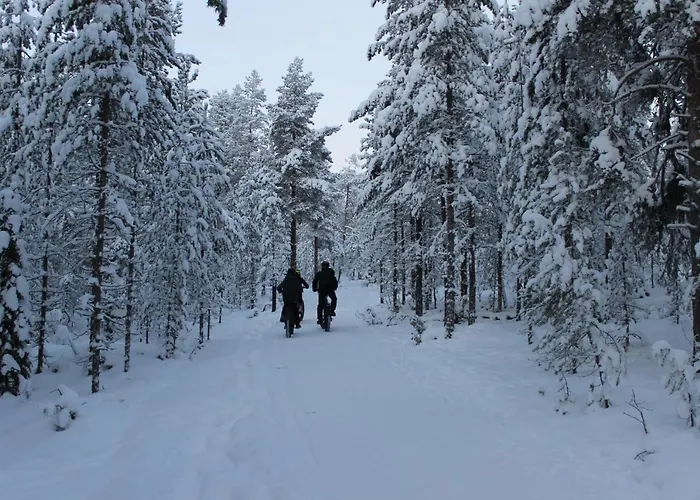 Studio Kaarto Rovaniemi