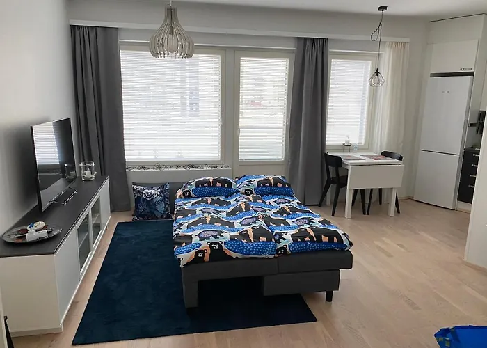 Big Studio B46 For 4 People In The City Center Rovaniemi