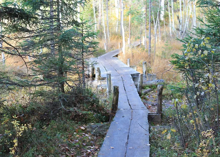 Hotel Nuuksio - Conferences And Events Esbo