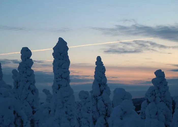 Polaris Homes For You Rovaniemi